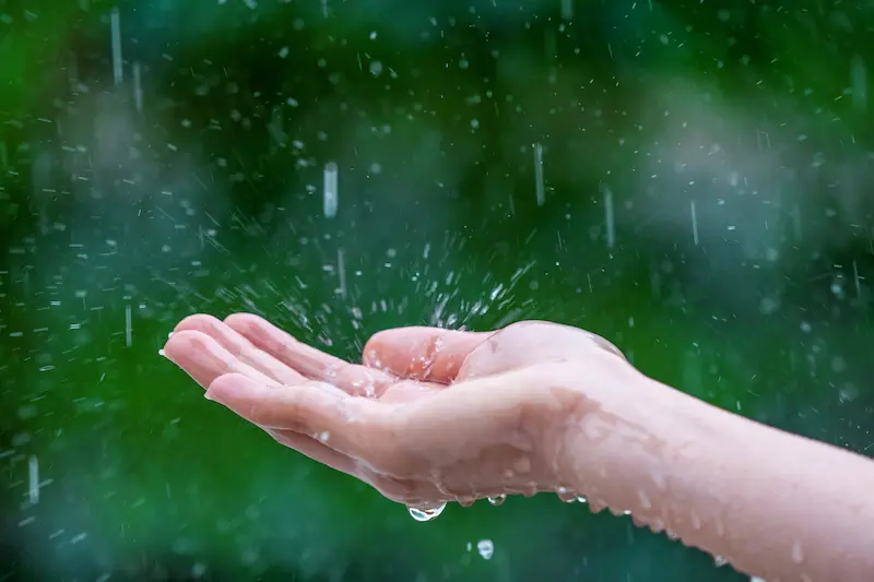 Água de chuva – Captação e Armazenamento Como é feita a captação e o armazenamento da água da chuva? 